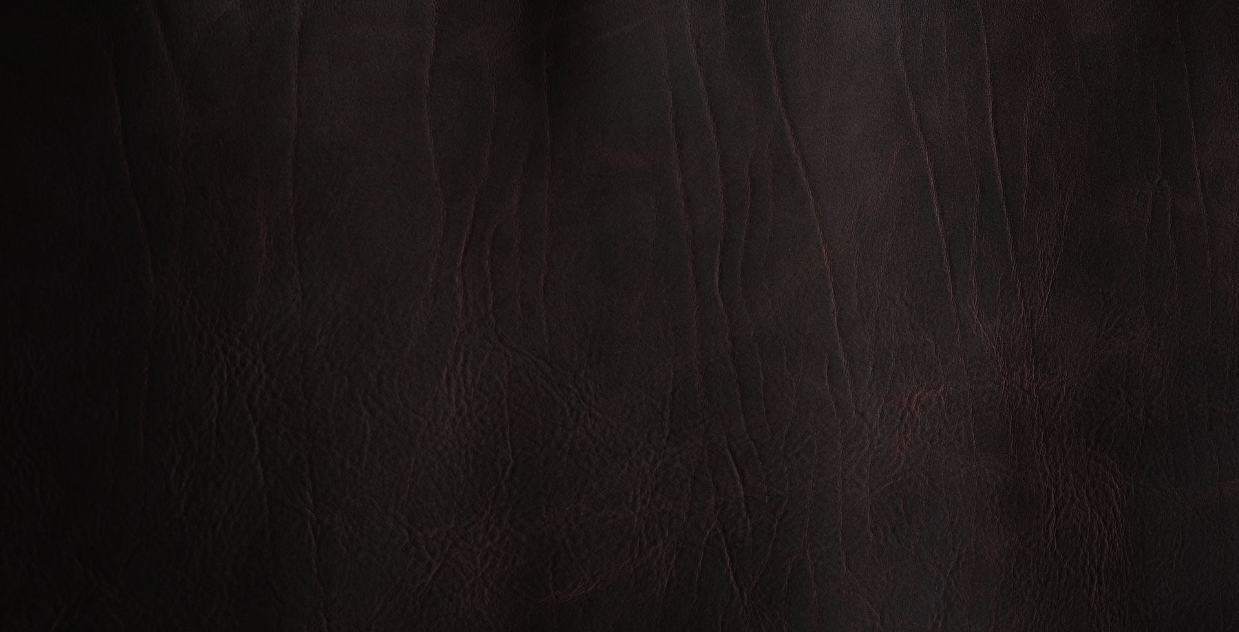 Eastern Brown Snakebite