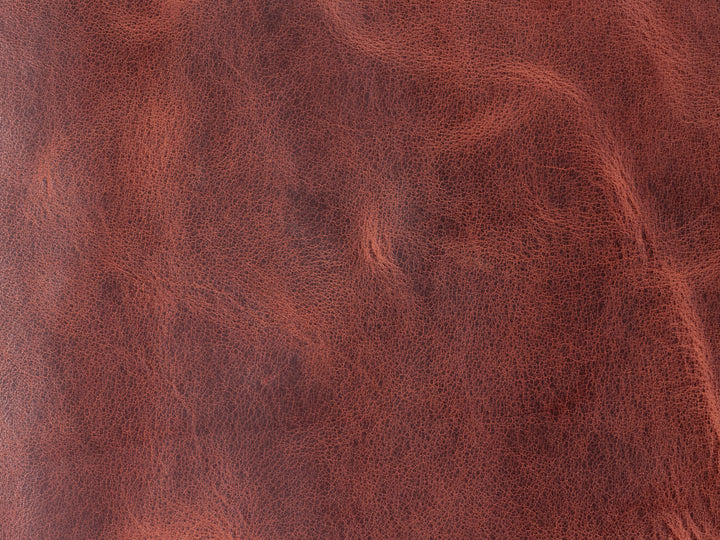 Preorder: Sample Hide Archive
