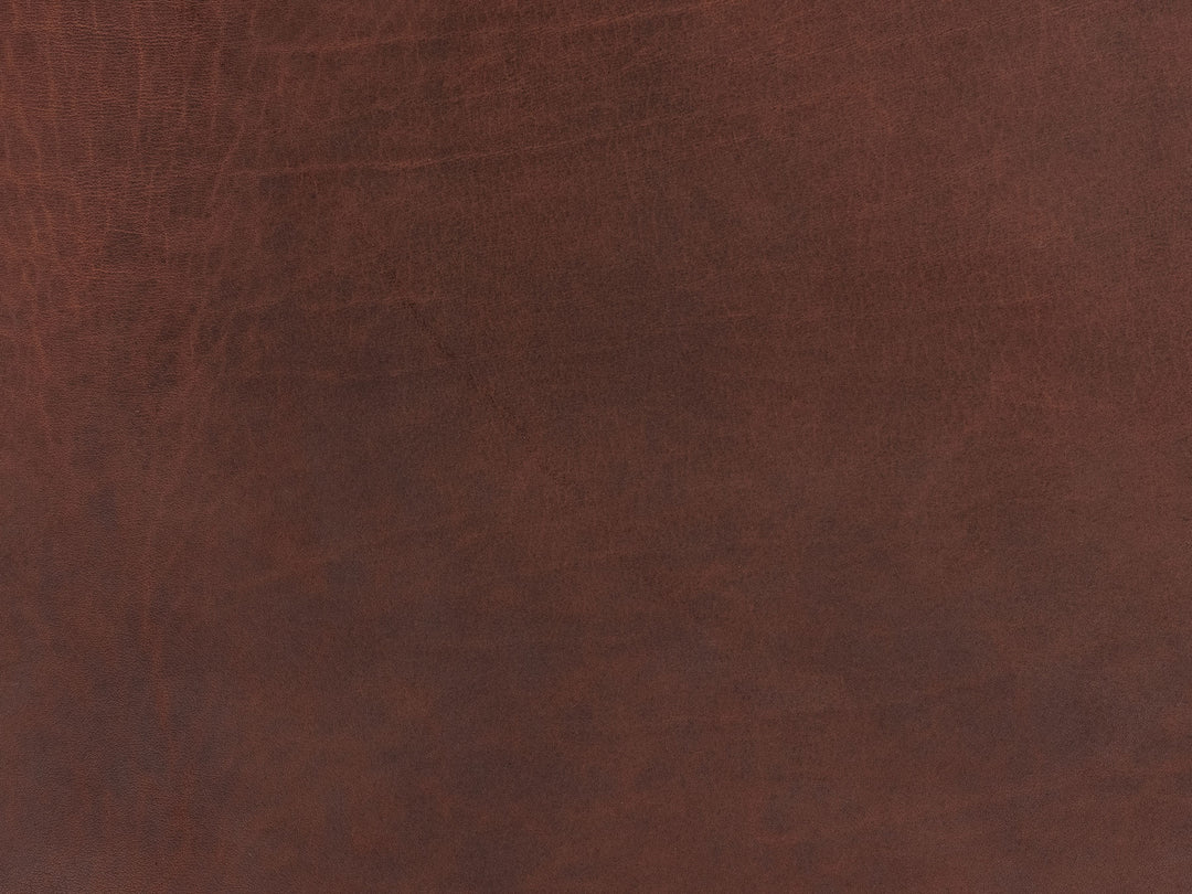 Preorder: Sample Hide Archive
