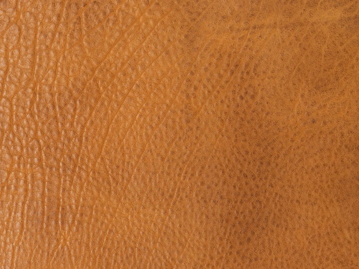 Preorder: Sample Hide Archive